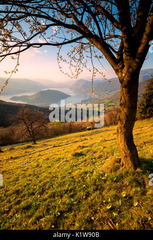 Sonnenuntergang über den Iseo See und Montisola, Brescia Provinz, Italien, Lombardei Bezirk, Europa. Stockfoto