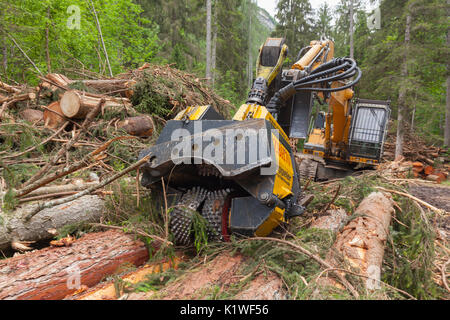 Die Arbeit der Holzfäller hat sich weiterentwickelt. Heute moderne Anlagen sind im Support in die Leitungen und in deren Verarbeitung vor Ort gute Schiffsleute Stockfoto