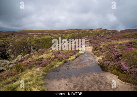 Fußweg am Rande des Kinder Scout über Grindsbrook Clough in der Nähe von Edale. Nationalpark Peak District, Derbyshire, England. Stockfoto