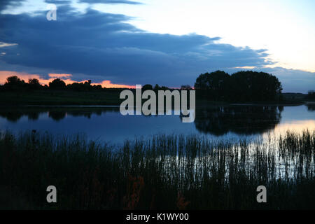 Ruhigen Teich Oberfläche mit Holz in schöner Sonnenaufgang mit Dämmerung und Nebel. Stockfoto