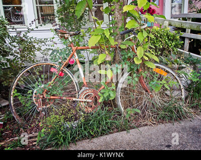 Frühling, TX USA - Juli 12, 2017 - altes Fahrrad in die Unkräuter Stockfoto