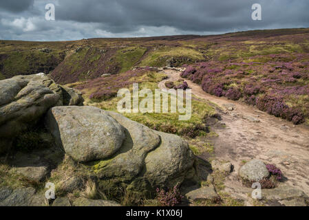 Robuste Landschaft am oberen Tor am Rande des Kinder Scout im Peak District National Park. Alfreton, Derbyshire, England. Stockfoto