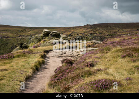 Fußweg am Rande des Kinder Scout über Grindsbrook Clough in der Nähe von Edale. Nationalpark Peak District, Derbyshire, England. Stockfoto