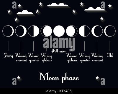 Die Phasen des Mondes. Der gesamte Zyklus von Neumond zu voll. Vektor-Illustration. Stock Vektor