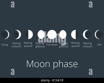 Die Phasen des Mondes. Der gesamte Zyklus von Neumond zu voll. Vektor-Illustration. Stock Vektor