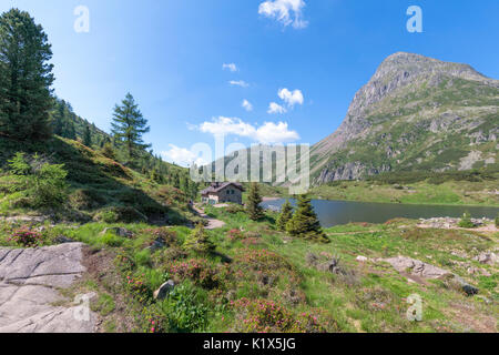 Europa, Italien, Trentino, Trento, Lagorai-Kette, die Colbricon Seen im Sommer mit der kleinen Almhütte in der Nähe der Seen Stockfoto