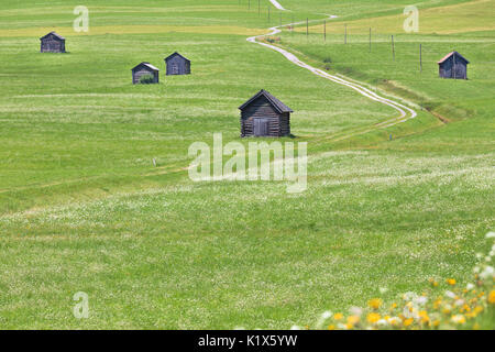 Charakteristische Scheunen in perfekt gepflegten Rasen, Obertilliach, Tiroler Gailtal, Osttirol, Tirol, Österreich Stockfoto