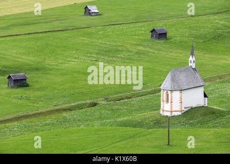 Charakteristische Scheunen in perfekt gepflegten Rasen, Obertilliach, Tiroler Gailtal, Osttirol, Tirol, Österreich Stockfoto