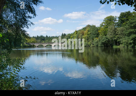 Blick über Virginia Water Lake mit einer gewölbten Brücke in Surrey, UK, an einem sonnigen Sommertag Stockfoto