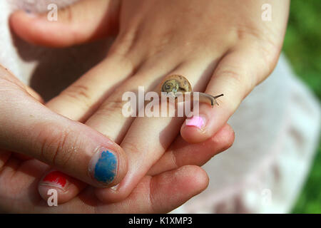 Kleine Schnecke kriecht auf der Hand des Kindes Stockfoto