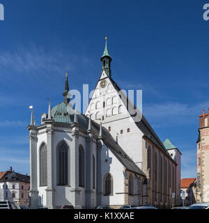 Freiberg - Dom Stockfoto