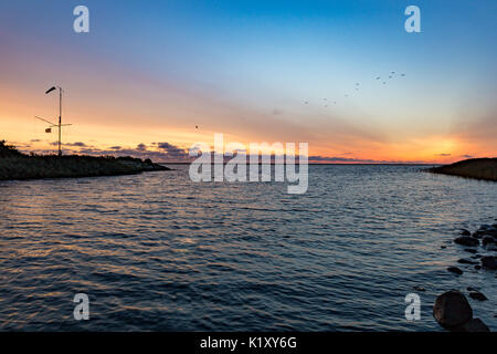 Marina Bork Havn am ringkobing Fjord in Dänemark Stockfoto