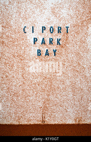 Kinder Krabben Migration durch Flying Fish Cove, Gecarcoidea natalis, Christmas Island, Australien Stockfoto