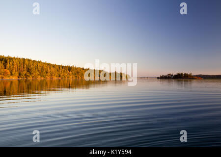 Abend auf Sidney Island, Vancouver Island, British Columbia, Kanada. Stockfoto