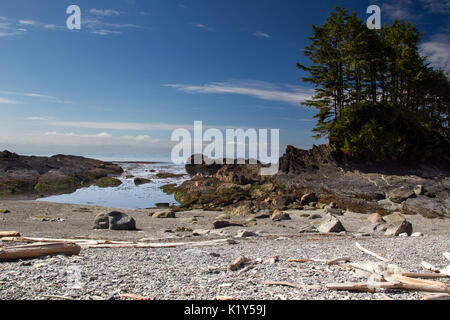 Die Küstenlandschaft am Botanical Beach in der Juan de Fuca Provincial Park in der Nähe von Port Renfrew auf Vancouver Island, British Columbia, Kanada. Stockfoto