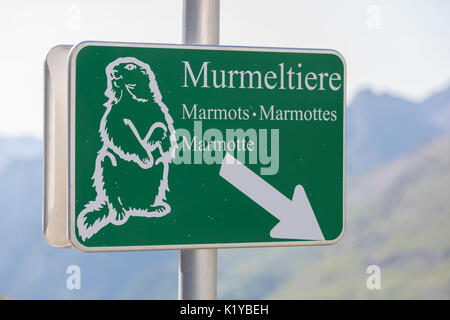 Zeichen Murmeltiere, Deutsch für Marmot oder Murmeltier, Großglockner Hochalpenstraße, Hochalpenstraße, Österreich Stockfoto