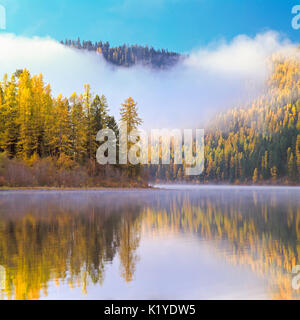 Morgen Nebel über Salmon Lake und im Herbst Lärche im Clearwater Valley in der Nähe von Seeley Lake, Montana Stockfoto