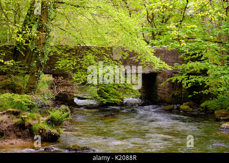 Golitha Falls, Brücke über den Fluss Fowey, in der Nähe von Bodmin Moor, Liskeard, Cornwall, England, Vereinigtes Königreich Stockfoto