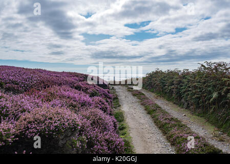 Schlamm Road an der Wade Mann, Blick Richtung Meer und Huhn Rock lighthouse Stockfoto