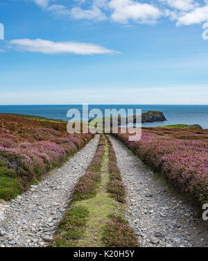 Schlamm Straße an der Wade f Mann, Blick Richtung Meer Stockfoto