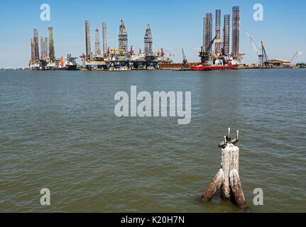 Texas, Galveston, Hafen, Pelikane auf häufen, offshore Bohrinsel und Versorgungsschiff Stockfoto