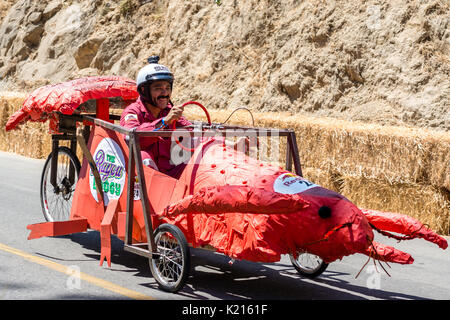 Red Bull Seifenkistenrennen Los Angeles 2017 Stockfoto