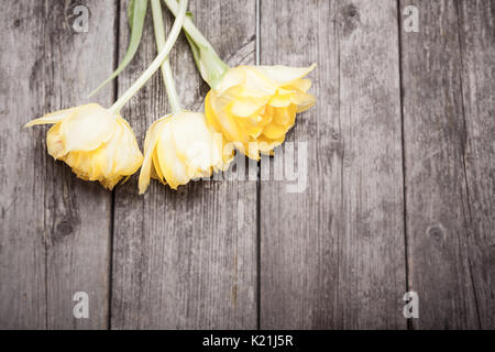 Gelbe Tulpen auf grunge Holz- Hintergrund mit Kopie Raum Stockfoto