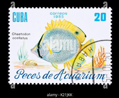 Briefmarke aus Kuba, die einen spotfin Falterfische (Chaetodon ocellatus) Stockfoto