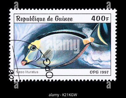 Briefmarke aus Guinea mit der Darstellung eines barcheek Nasendoktorfisch (Naso Lituratus) Stockfoto