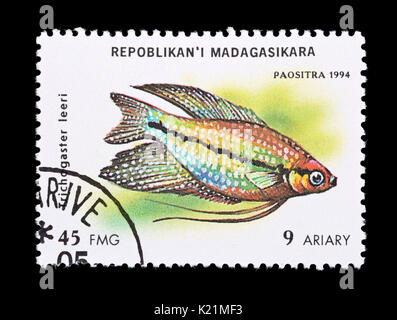 Briefmarke aus Madagaskar, eine Perle gurami (Trichopodus leerii) Stockfoto
