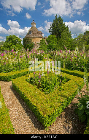 Niedrige eibe Hecken, Knot Garden, in geometrischen Design mit Massen von Pink & white Fingerhut unter blauen Himmel bei Rousham Gärten, Oxfordshire England Stockfoto