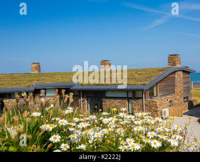 Modernes Haus/Bungalow mit isolierenden sod Dach/green living Dach und schwarze Keder für solare Warmwasserbereitung an Widemouth Bay, Cornwall, England Stockfoto