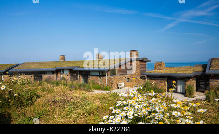 Modernes Haus/Bungalow mit isolierenden sod Dach/green living Dach und schwarze Keder für solare Warmwasserbereitung an Widemouth Bay, Cornwall, England Stockfoto