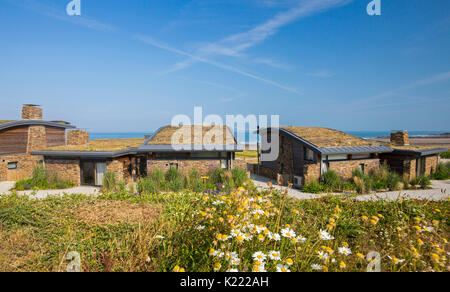 Modernes Haus/Bungalow mit isolierenden sod Dach/green living Dach und schwarze Keder für solare Warmwasserbereitung an Widemouth Bay, Cornwall, England Stockfoto