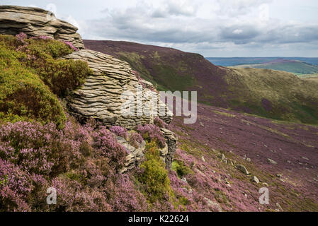 Gritstone Aufschlüsse zu klingeln Roger auf Kinder Scout. Heidekraut blüht zwischen den Felsen auf den Hügeln über Morley, Peak District, Derbyshire, England. Stockfoto