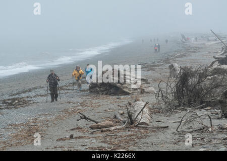 Wandern Dungeness Spit, die weltweit längste natürliche Sandbank. Die Olympische Halbinsel, Washington State, USA Stockfoto