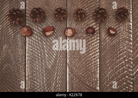 Natürliche Geschenke direkt aus dem Wald Stockfoto