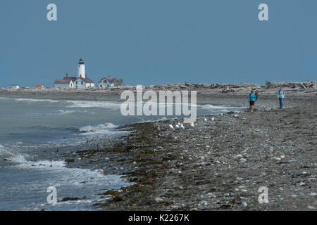 Leuchtturm am Ende der Dungeness Spit, die längste natürliche Tourismus in der Welt. Stockfoto