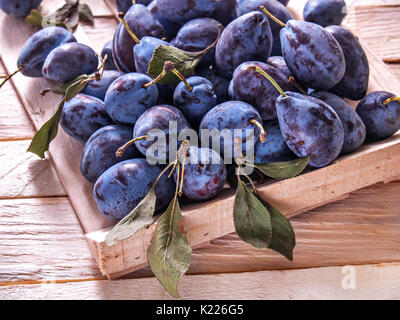 Blue Plum in einer Holzkiste auf einer hölzernen Hintergrund frischen saftigen Big neue Ernte mit grünen Blättern Diät Lebensmittel Obst nützlich Stockfoto