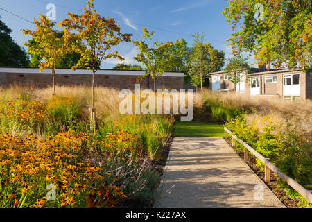 Landschaftsgestaltung um wohnungsbaugesellschaft Gebäude in Scunthorpe, North Lincolnshire, Großbritannien. Die Gebäude sind von Ongo besessen. August 2017. Stockfoto