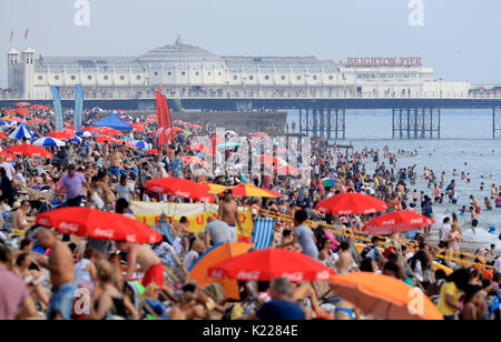 Die Menschen genießen die Bank Urlaub Sonne auf Brighton Beach in Sussex. Stockfoto