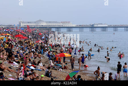 Die Menschen genießen die Bank Urlaub Sonne auf Brighton Beach in Sussex. Stockfoto