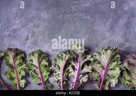 Rote Blätter oder Russischen kale Kale auf grauem Hintergrund mit Kopie Raum Stockfoto