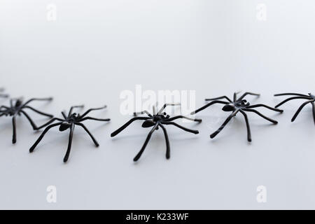 Schwarz Spielzeug spinnen Kette auf weißem Hintergrund Stockfoto