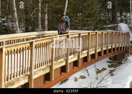 Felsige Schlucht Scenic Area - Die felsigen Schlucht Brücke, die das Swift River in den White Mountains, New Hampshire USA Kreuze während der Wintermonate. Stockfoto