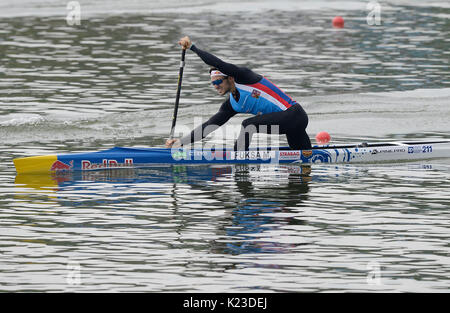 Racice, Tschechische Republik. 26 Aug, 2017. MARTIN FUKSA (Tschechische, zweiter Platz) in Aktion während der Männer C final 1 1000 m Rennen innerhalb der 2017 ICF Canoe Sprint Wm in Racice, Tschechien, am 26. August 2017. Credit: Katerina Sulova/CTK Photo/Alamy leben Nachrichten Stockfoto