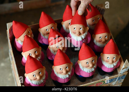 Graefenroda, Deutschland. 25 Aug, 2017. Gartenzwerge, in der Garden gnome-Manufaktur in Graefenroda, Deutschland, 25. August 2017 fotografiert. Mehr als 500 verschiedene Zahlen zwischen 4 und 60 Zentimeter werden hier hergestellt. Seit 1874, der griebel Familie produziert seit Der gebrannte Ton Figuren und ist heute das einzige Unternehmen in Deutschland. Die meisten Kunden außerhalb von Deutschland sind aus Frankreich, Österreich, Italien, den Niederlanden und der Schweiz. Foto: Jens Kalaene/dpa-Zentralbild/dpa/Alamy leben Nachrichten Stockfoto