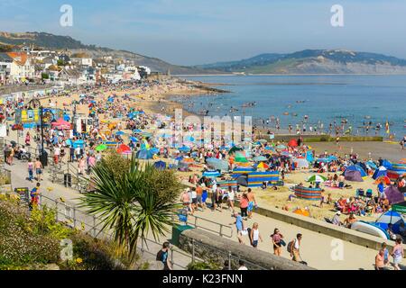 Lyme Regis, Dorset, Großbritannien. 28 Aug, 2017. UK Wetter. Erholungssuchende und Sonnenhungrige Herde an den Strand zu genießen die warme Sonne in den Badeort Lyme Regis im August Bank Holiday. Photo Credit: Graham Jagd-/Alamy leben Nachrichten Stockfoto