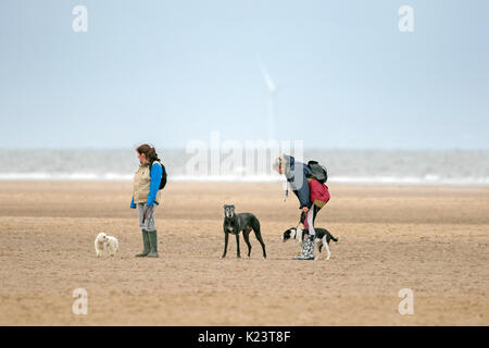 Southport, Merseyside, 30. August 2017. UK Wetter. Einen kühlen und bewölkten Start in den Tag über den Nordwesten von England als Hund Wanderer nehmen Ihre geliebten Haustiere für einige Frühsport am Strand in Southport, Merseyside. Credit: cernan Elias/Alamy leben Nachrichten Stockfoto