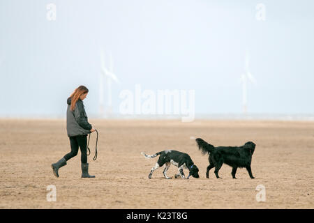 Southport, Merseyside, 30. August 2017. UK Wetter. Einen kühlen und bewölkten Start in den Tag über den Nordwesten von England als Hund Wanderer nehmen Ihre geliebten Haustiere für einige Frühsport am Strand in Southport, Merseyside. Credit: cernan Elias/Alamy leben Nachrichten Stockfoto